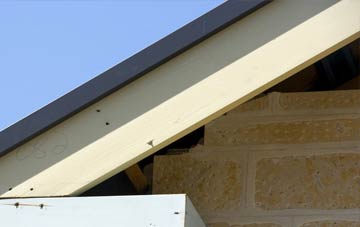 Tregarlandbridge fascia repairs