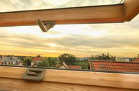 rated Tregarlandbridge roof window companies